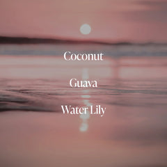 Coral Coast- Body Mist
